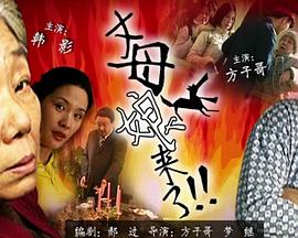 HD免费韩语中字免费观看